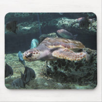 Sea Turtle mousepads