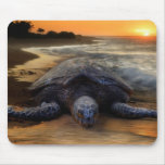 Sea Turtle Mousepad