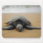 Sea Turtle Mousepad