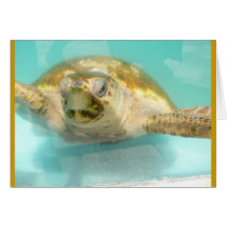 Sea Turtle Note Card by pjmunro Sea Turtle Note Card