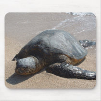Sea Turtle - Oahu Hawaii mousepads