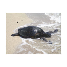Sea Turtle on Beach Wrapped Canvas Gallery Wrap Canvas