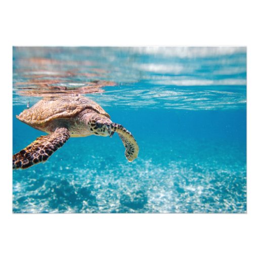 Sea turtle personalized invitation