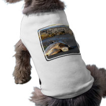 Sea Turtle Pet Shirt