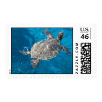 Sea Turtle postage by meggysuesue Sea Turtle postage