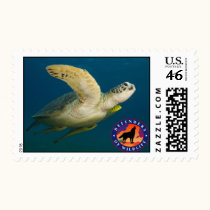 Sea Turtle postage