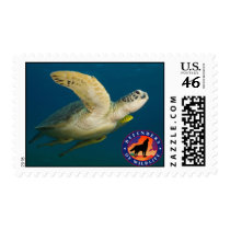 Sea Turtle postage