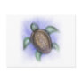 Sea Turtle Post Card