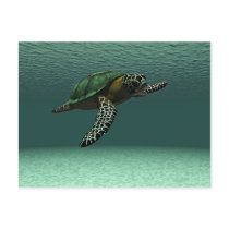 Sea turtle postcard by Junglegeorge Sea turtle postcard
