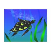 Sea Turtle postcards