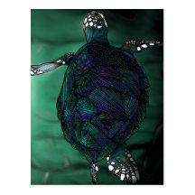 Sea Turtle Postcard