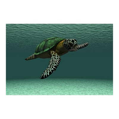 Sea turtle poster by Junglegeorge