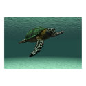 Sea turtle poster posters
