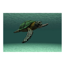 Sea turtle poster posters