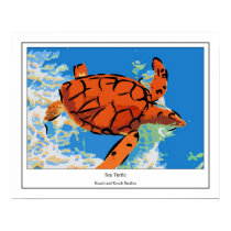 Sea Turtle posters