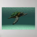Sea turtle poster posters
