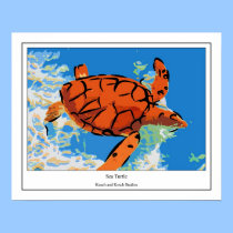 Sea Turtle posters