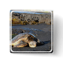 Sea Turtle Square Pin