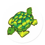 Sea Turtle