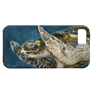 Sea Turtle Surprise iPhone 5 Cover