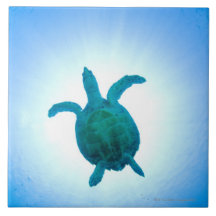 Sea turtle swimming underwater tiles