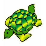Sea Turtle