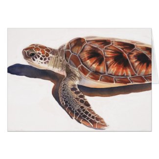 green sea turtle