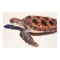 Sea Turtle Wildlife Watercolor Art posters