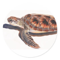 Sea Turtle Wildlife Watercolor Art Round Sticker