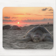 Sea Turtles at Sunset Mouse Pad