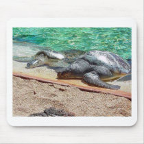 sea turtles mousepads