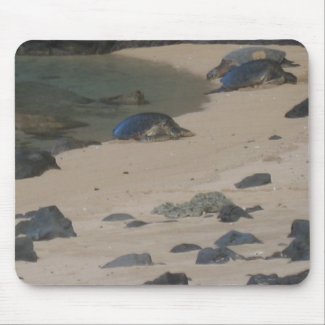 Sea turtles on Kaui's Na Pali coast mousepad mousepad