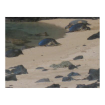 Sea turtles print by joacreations Sea turtles print