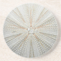 Sea Urchin Coaster