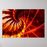 Sea Urchin posters