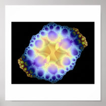 sea urchin poster