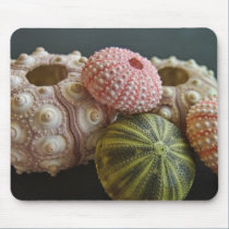Sea Urchin Still Life mousepads