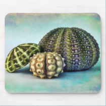 Sea Urchin Trio mousepads