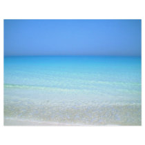 SeaaScape letterhead by dinatemraz SeaaScape letterhead