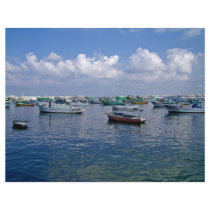 SeaaScape Customized Letterhead