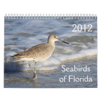 Seabirds of Florida 2012 Wall Calendars