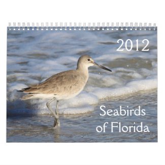 Seabirds of Florida 2012 calendar