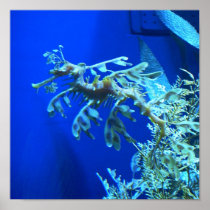 SeaDragon Posters