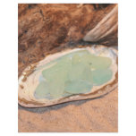 Seafoam Seaglass Letterhead Design