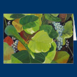 Seagrape cards