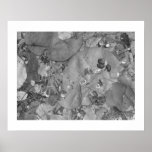 Seagrape & Wild Coffee Abstract Posters