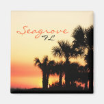 Seagrove Florida palm tree sunset Fridge Magnets