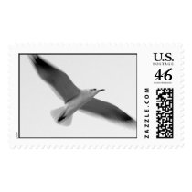 seagul II postage