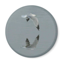 Seagull and Reflections magnets by djnoel Seagull and Reflections magnets