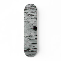 Seagull And Seal In Water skateboards by lifesphere Seagull And Seal In Water skateboards